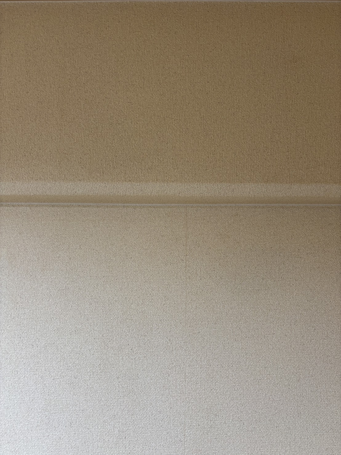 記事内の清掃写真