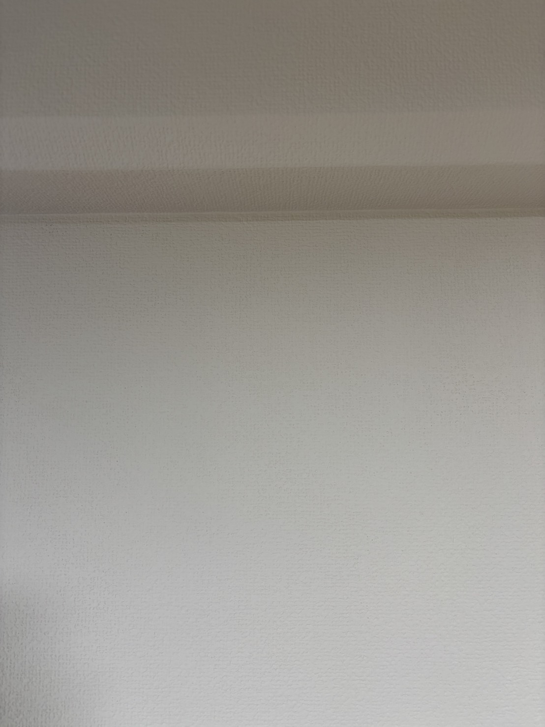 記事内の清掃写真